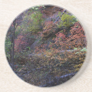 Posavasos De Arenisca Otoño en Sedona