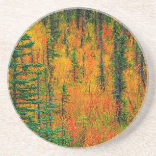 Posavasos De Arenisca Otoño en una pradera