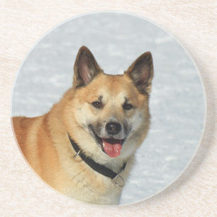 Posavasos De Arenisca Oveja islandesa20150904