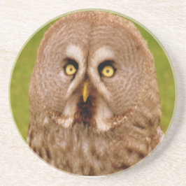 Posavasos De Arenisca Owl Coaster
