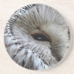 POSAVASOS DE ARENISCA OWLS