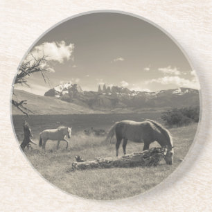 Posavasos De Arenisca Paisaje con caballos