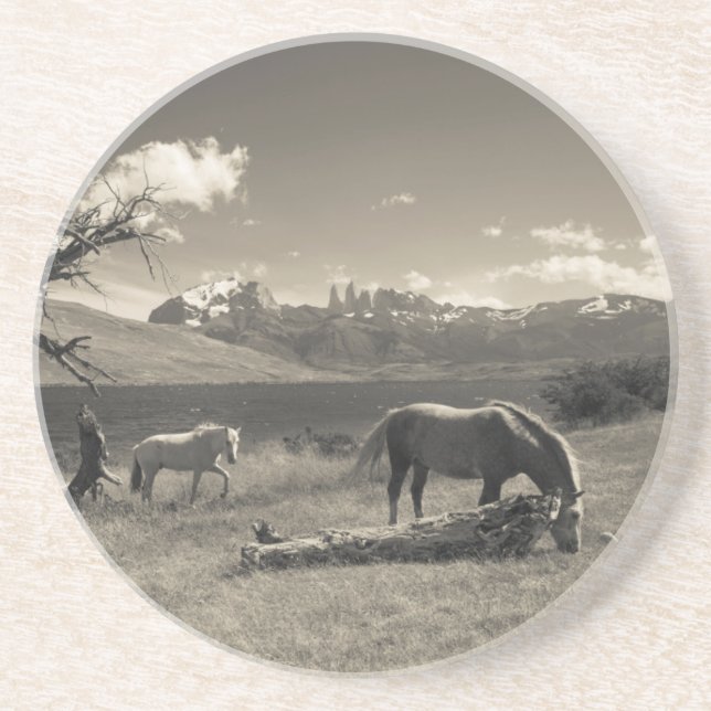 Posavasos De Arenisca Paisaje con caballos (Frente)