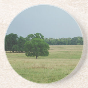 Posavasos De Arenisca Paisaje de Alabama
