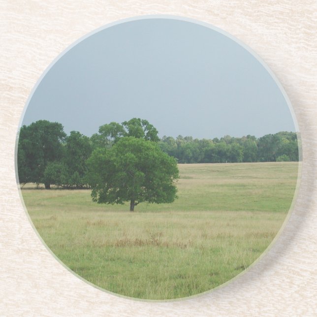 Posavasos De Arenisca Paisaje de Alabama (Frente)