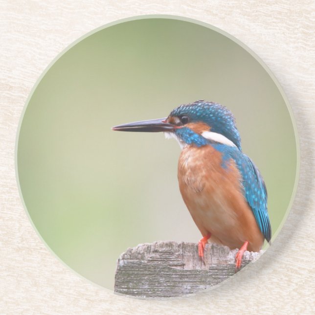 Posavasos De Arenisca Pájaro pescador. (Frente)