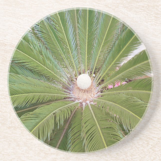 Posavasos De Arenisca Palm verde Guay (Frente)