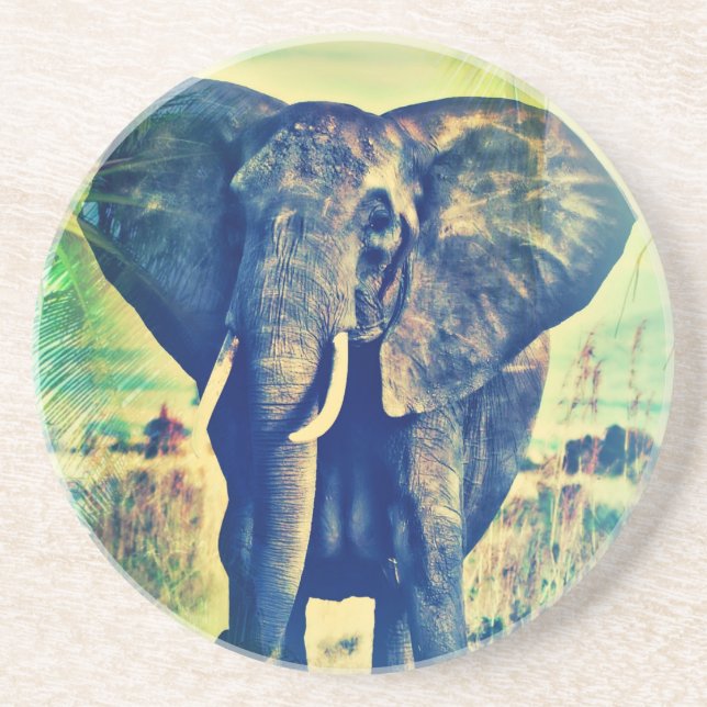 Posavasos De Arenisca Palmas elefantes (Frente)