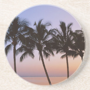 Posavasos De Arenisca Palmera, mañana