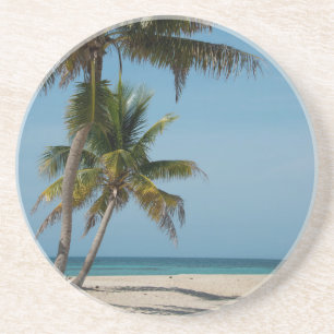 Posavasos De Arenisca Palmera y playa de arena blanca
