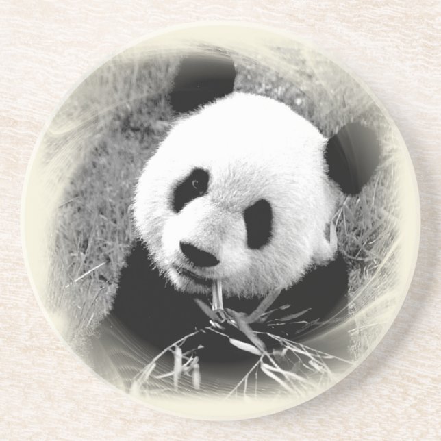 Posavasos De Arenisca Panda Eyes (Frente)