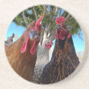 Posavasos de arenisca para aves con actitud