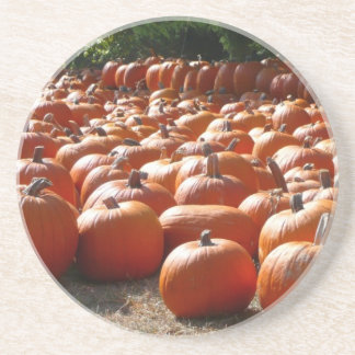 Posavasos De Arenisca Parche de calabaza Fotografía de la cosecha otoñal