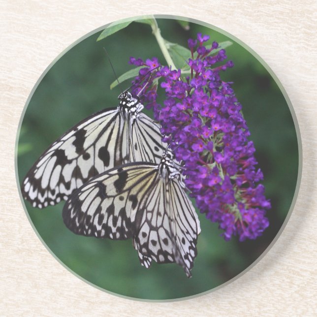 Posavasos De Arenisca Pareja de mariposas de cometas de papel (Frente)