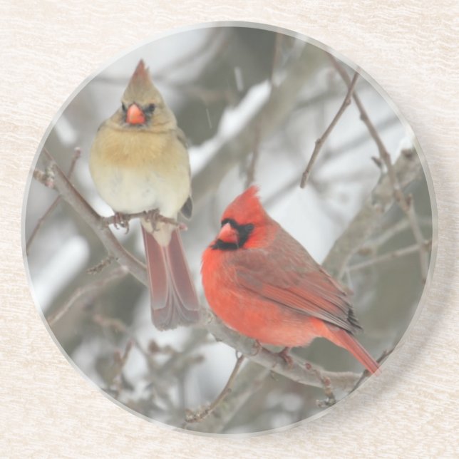Posavasos De Arenisca Pares de cardenales septentrionales (Frente)