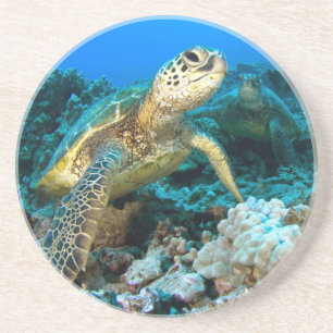 Posavasos De Arenisca Pares de la tortuga