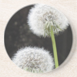 Posavasos De Arenisca Pascua - Dandelions