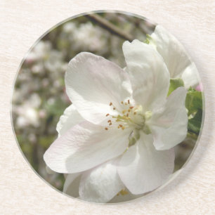 Posavasos De Arenisca Pascua de arenisca con flores de Apple