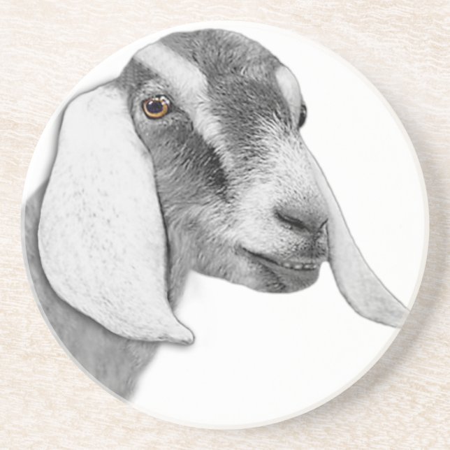 Posavasos De Arenisca Pascua de arenisca de cabra nubia (Frente)