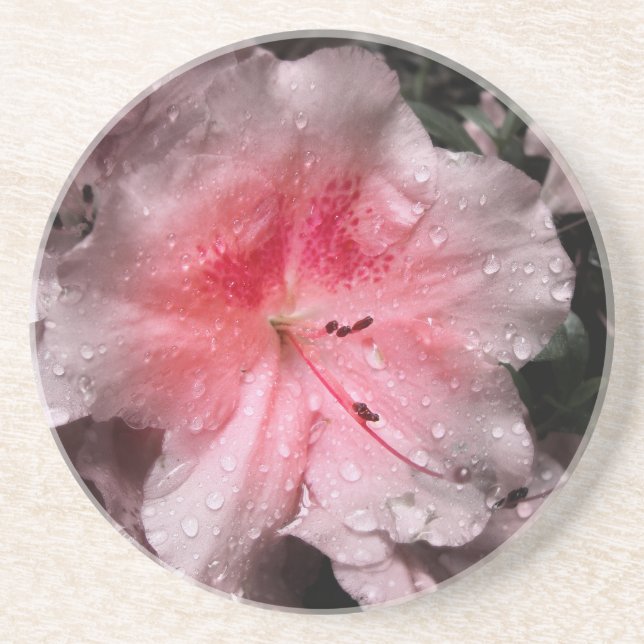 Posavasos De Arenisca Pascua de brillo interior (Frente)