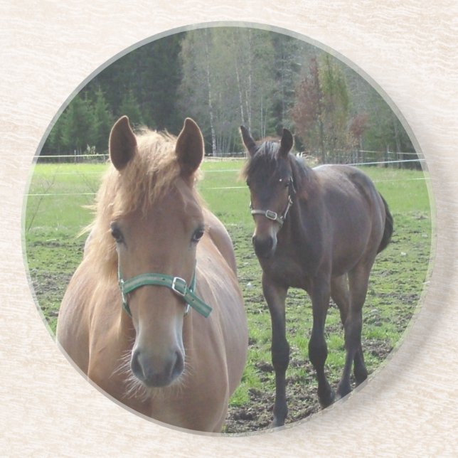Posavasos De Arenisca Pascua de caballos (Frente)