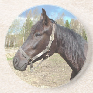 Posavasos De Arenisca Pascua de caballos