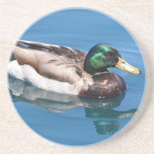 Posavasos De Arenisca Pascua de pato masculino