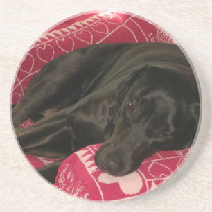 Posavasos De Arenisca Pascua de perro con sueño