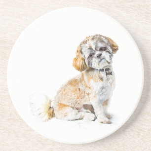 Posavasos De Arenisca Pascua de Perro Shih Tzu