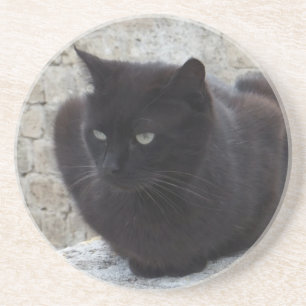 Posavasos De Arenisca Pascua de personalizado de gato negro