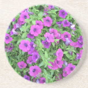 Posavasos De Arenisca Pascua de Petunias Púrpura