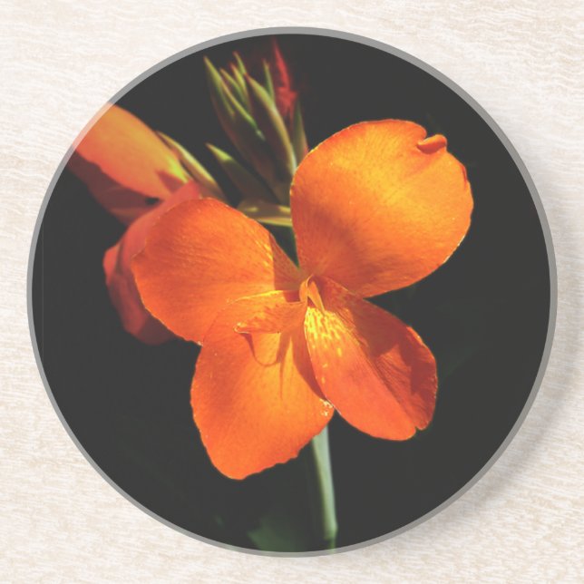 Posavasos De Arenisca Pascua de piedra arenisca para orquídeas deslumbra (Frente)