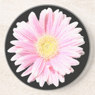 Posavasos De Arenisca Pascua de piedra arenisca rosa Gerbera Daisy