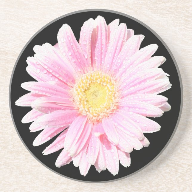 Posavasos De Arenisca Pascua de piedra arenisca rosa Gerbera Daisy (Frente)
