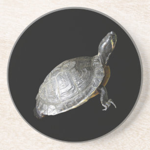 Posavasos De Arenisca Pascua de tortuga