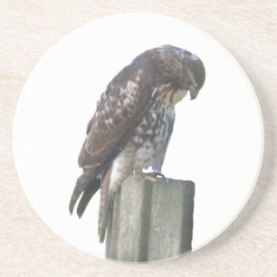 Posavasos De Arenisca Pascua - Falcon