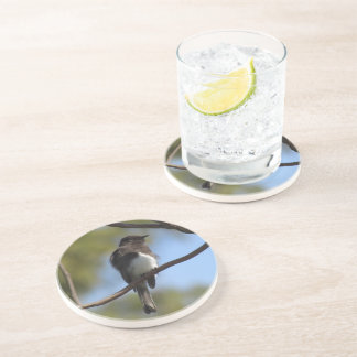 Posavasos De Arenisca Pascua - Flycatcher