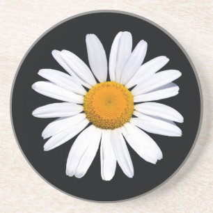 Posavasos De Arenisca Pascua negra de Daisy