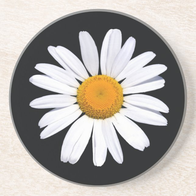 Posavasos De Arenisca Pascua negra de Daisy (Frente)