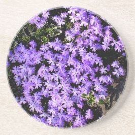 Posavasos De Arenisca Pascua 'Purple Springtime'
