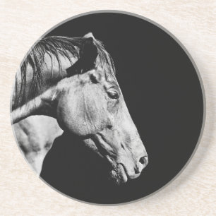 Posavasos De Arenisca pata de caballo cabeza