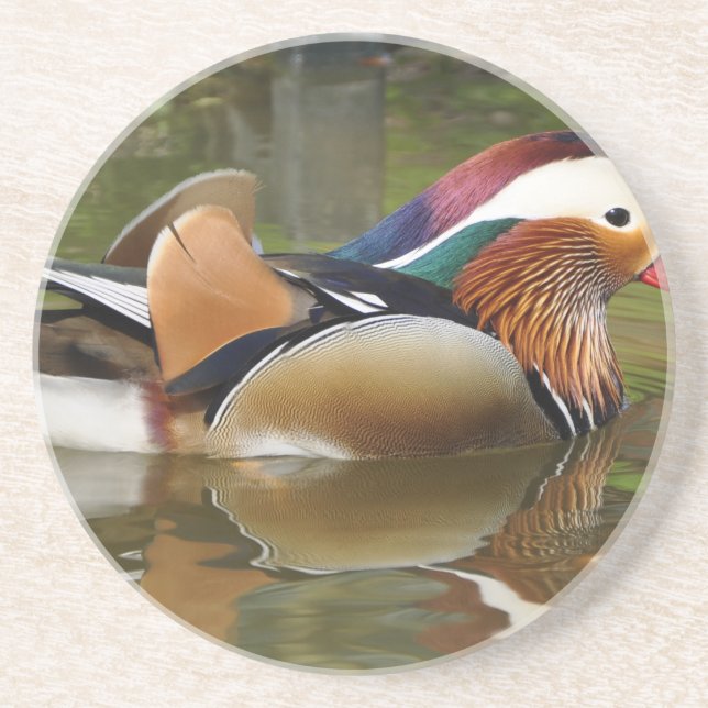 Posavasos De Arenisca pato mandarino (Frente)