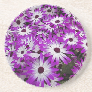 Posavasos De Arenisca Patrón de flores, Jardines Kuekenhof, Lisse,