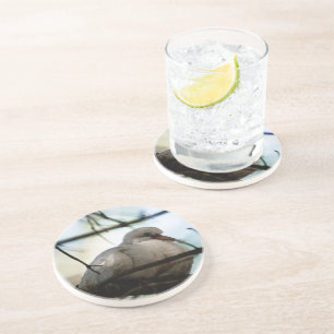 Posavasos De Arenisca Patrón de línea