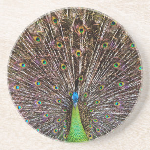 Posavasos De Arenisca Pavo real