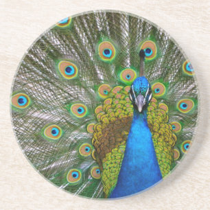 Posavasos De Arenisca Pavo real