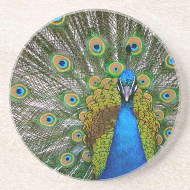 Posavasos De Arenisca Pavo real (Frente)