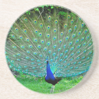 Posavasos De Arenisca Pavo real leve