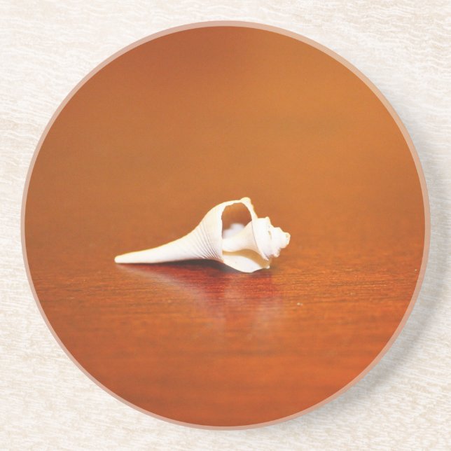 Posavasos De Arenisca Pequeña concha (Frente)