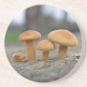 Posavasos De Arenisca Pequeñas toadstoides Macrósters